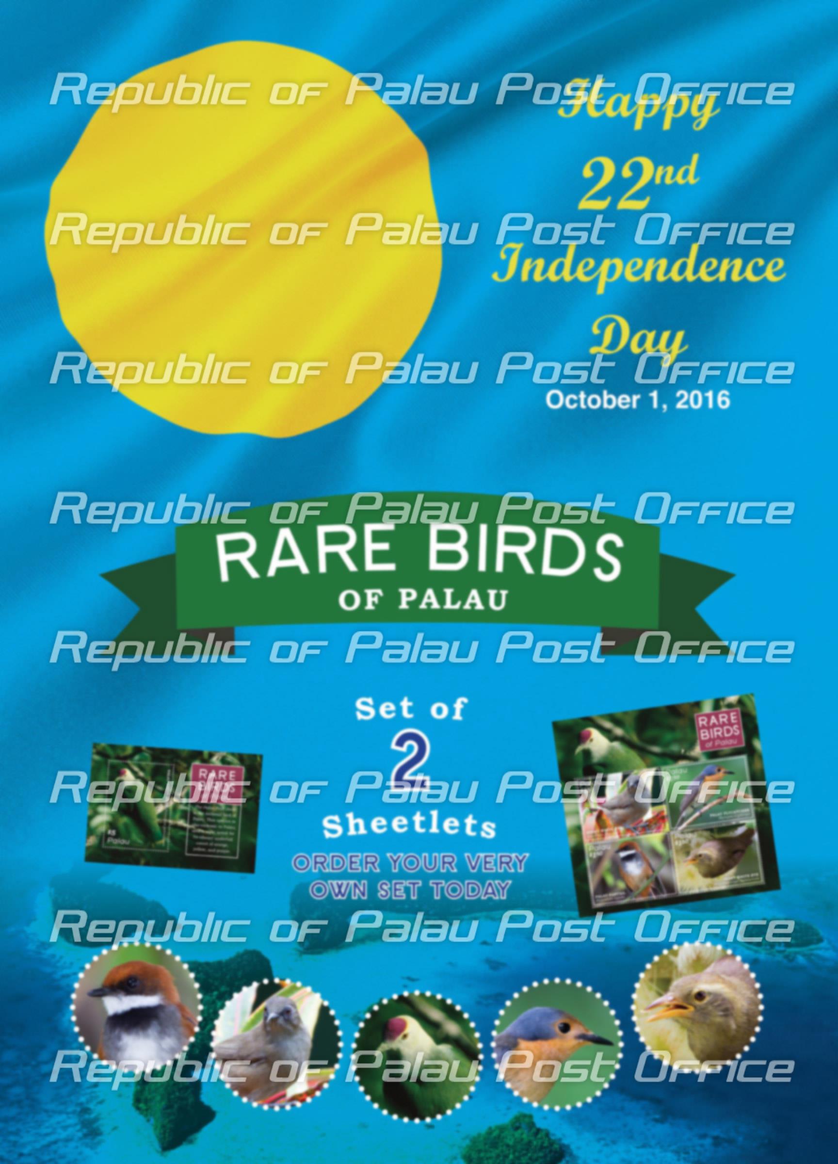 Rare Birds of Palau